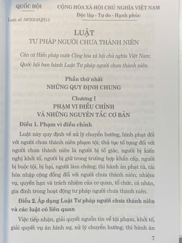 Luật Tư pháp người chưa thành niên năm 2024 - Hình ảnh 4