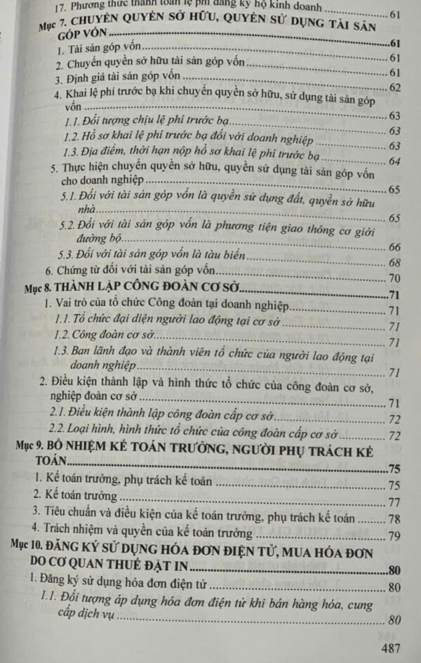 Pháp luật trong doanh nghiệp- những vấn đề pháp lý cơ bản - Ảnh 6