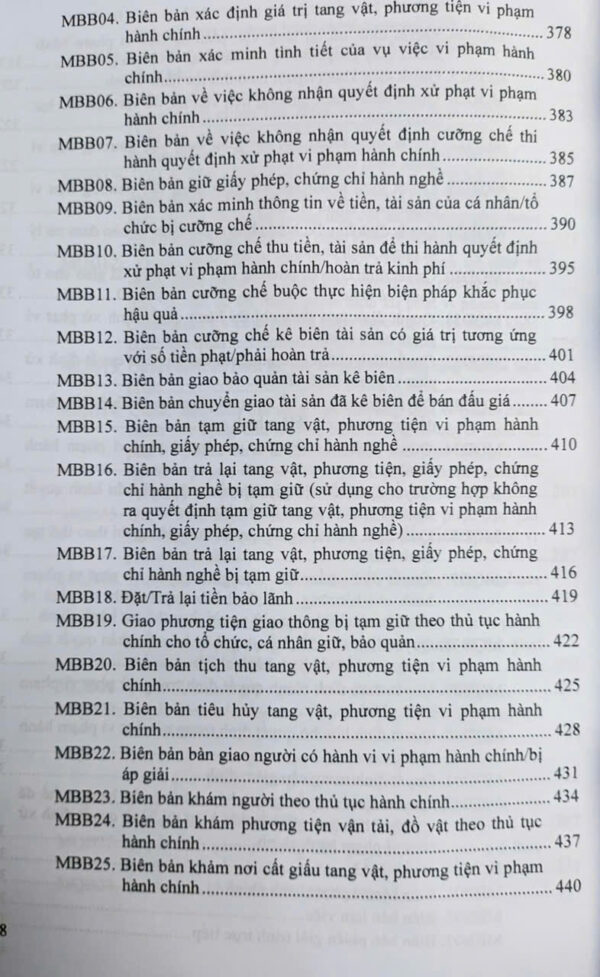 Luật Xử Lý Vi Phạm Hành Chính (sửa đổi, bổ sung năm 2025) các văn bản quy định chi tiết và biện pháp thi hành - Ảnh 11