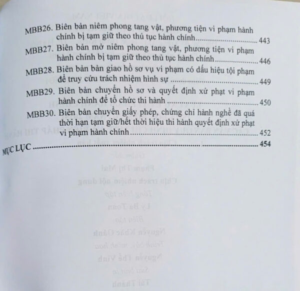 Luật Xử Lý Vi Phạm Hành Chính (sửa đổi, bổ sung năm 2025) các văn bản quy định chi tiết và biện pháp thi hành - Ảnh 12