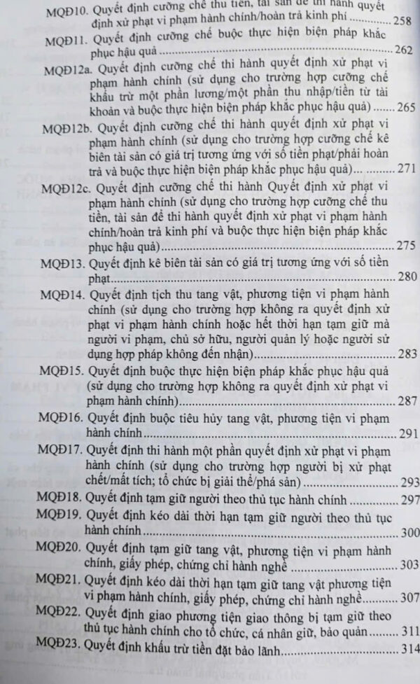 Luật Xử Lý Vi Phạm Hành Chính (sửa đổi, bổ sung năm 2025) các văn bản quy định chi tiết và biện pháp thi hành - Ảnh 9