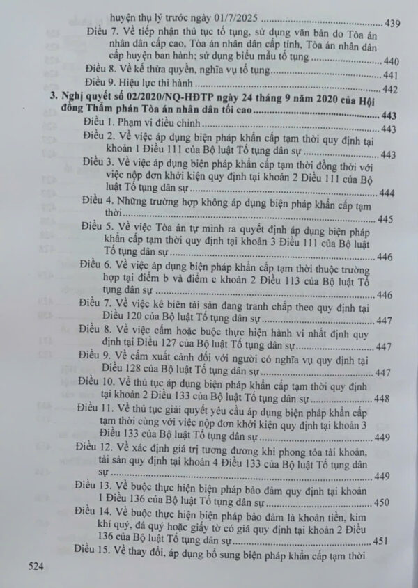 Bộ luật Dân sự, Bộ luật Tố tụng Dân sự (sửa đổi, bổ sung năm 2025) văn bản hướng dẫn thi hành - Ảnh 14
