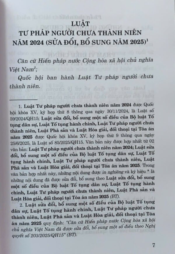 Luật Tư pháp người chưa thành niên năm 2024 (sửa đổi, bổ sung năm 2025) - Ảnh 4