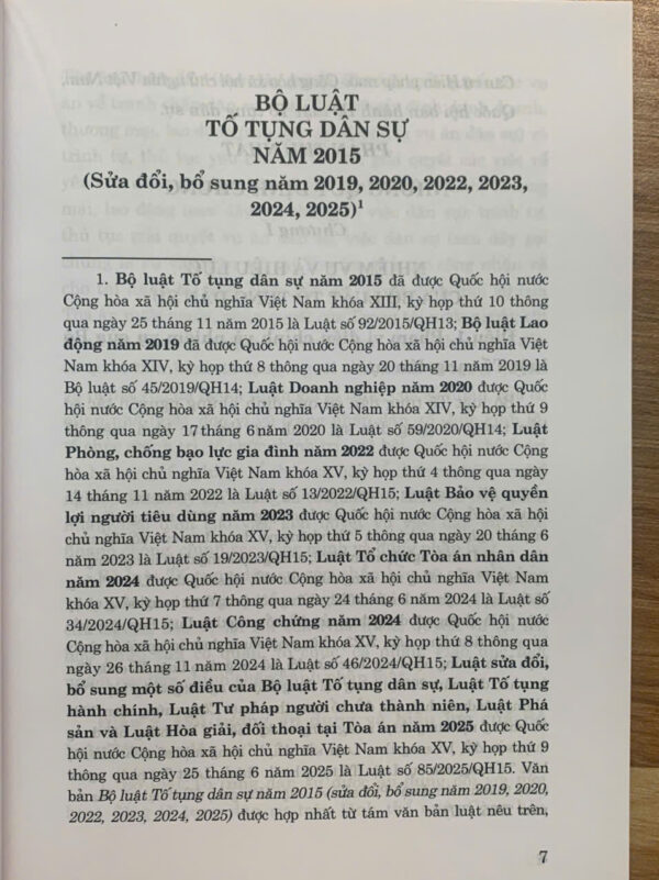 Bộ luật tố tụng dân sự 2015 (sửa đổi bổ sung năm 2019, 2020, 2022, 2023, 2024, 2025) - Ảnh 4