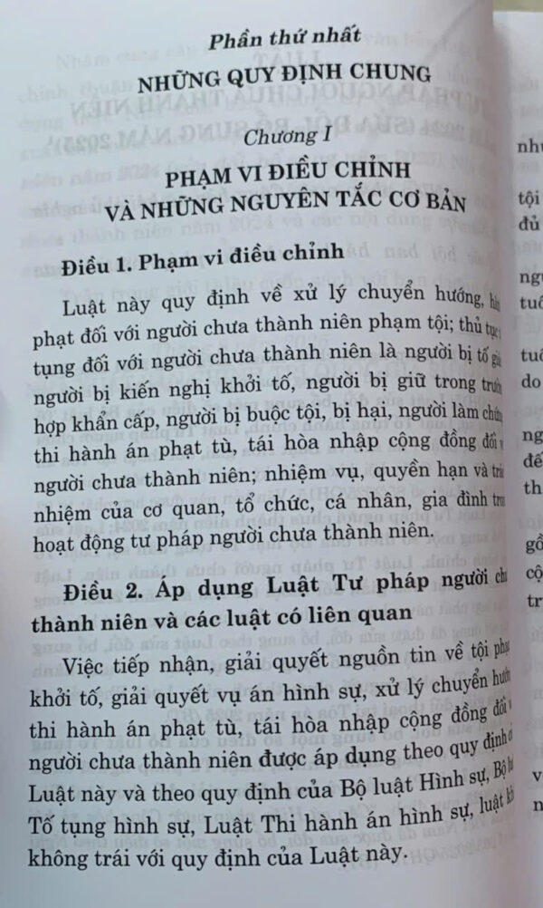 Luật Tư pháp người chưa thành niên năm 2024 (sửa đổi, bổ sung năm 2025) - Ảnh 5