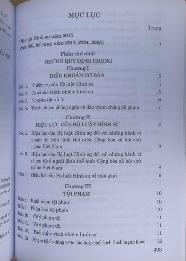 Bộ luật hình sự năm 2015 (sửa đổi, bổ sung năm 2017, 2024, 2025) - Ảnh 5