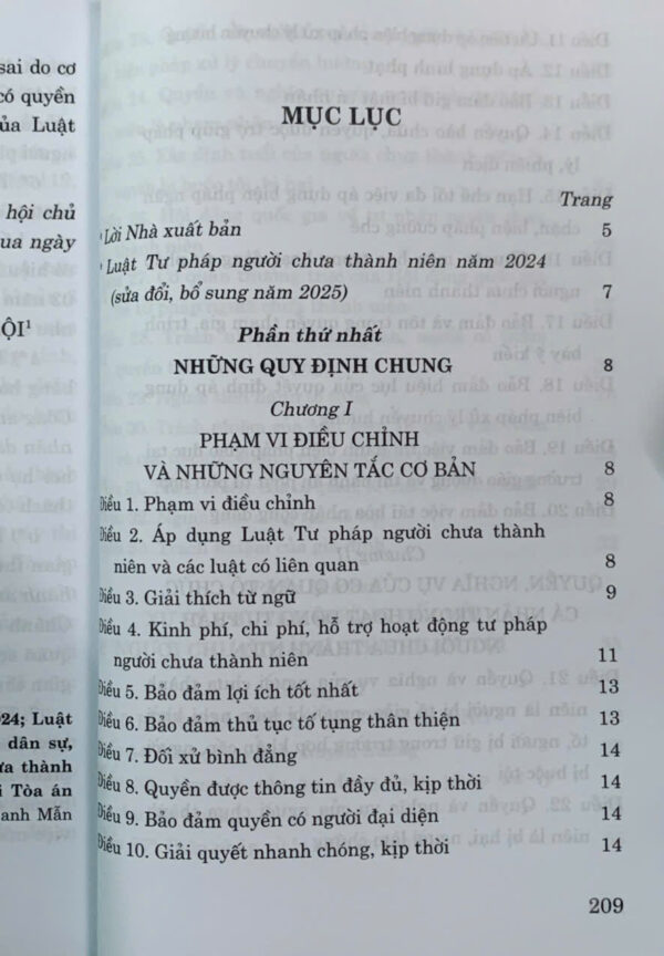 Luật Tư pháp người chưa thành niên năm 2024 (sửa đổi, bổ sung năm 2025) - Ảnh 6