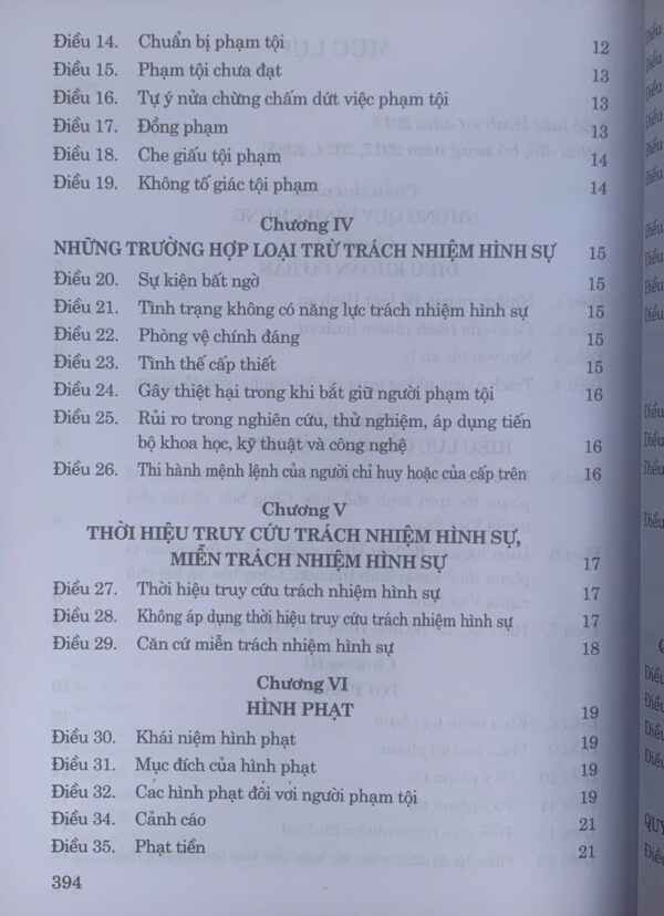 Bộ luật hình sự năm 2015 (sửa đổi, bổ sung năm 2017, 2024, 2025) - Ảnh 6