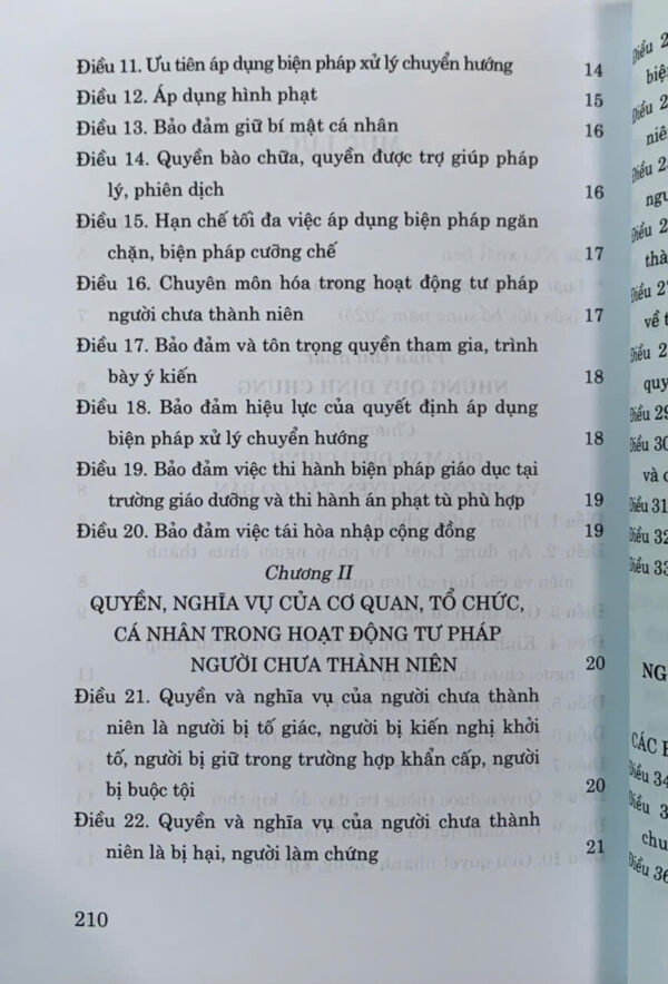 Luật Tư pháp người chưa thành niên năm 2024 (sửa đổi, bổ sung năm 2025) - Ảnh 7
