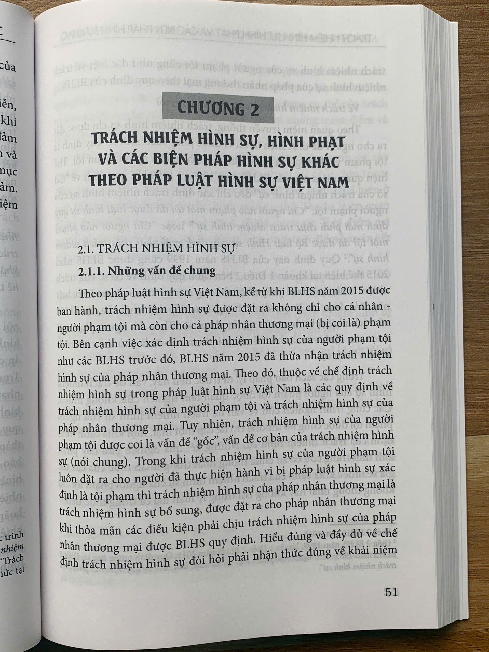 Trách nhiệm hình sự, hình phạt và các biện pháp hình sự khác - Ảnh 12