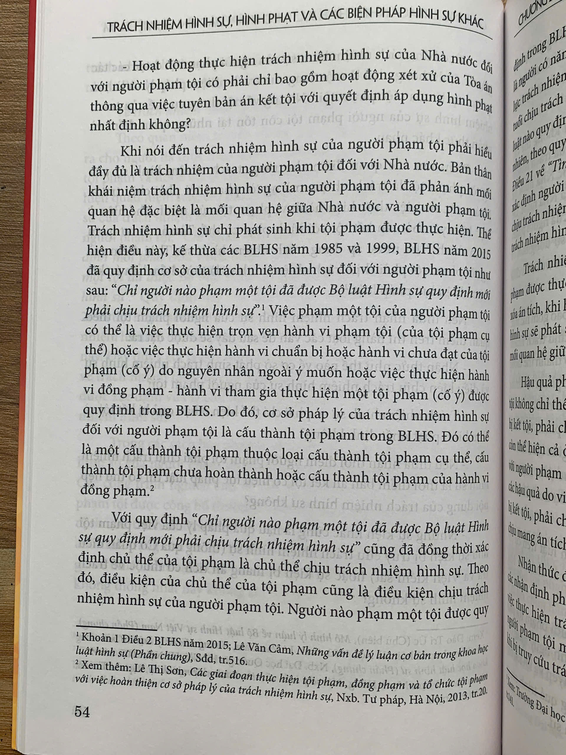 Trách nhiệm hình sự, hình phạt và các biện pháp hình sự khác - Ảnh 15