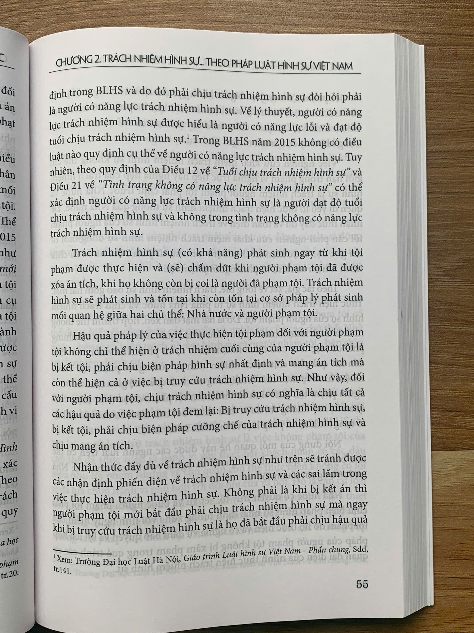 Trách nhiệm hình sự, hình phạt và các biện pháp hình sự khác - Ảnh 16