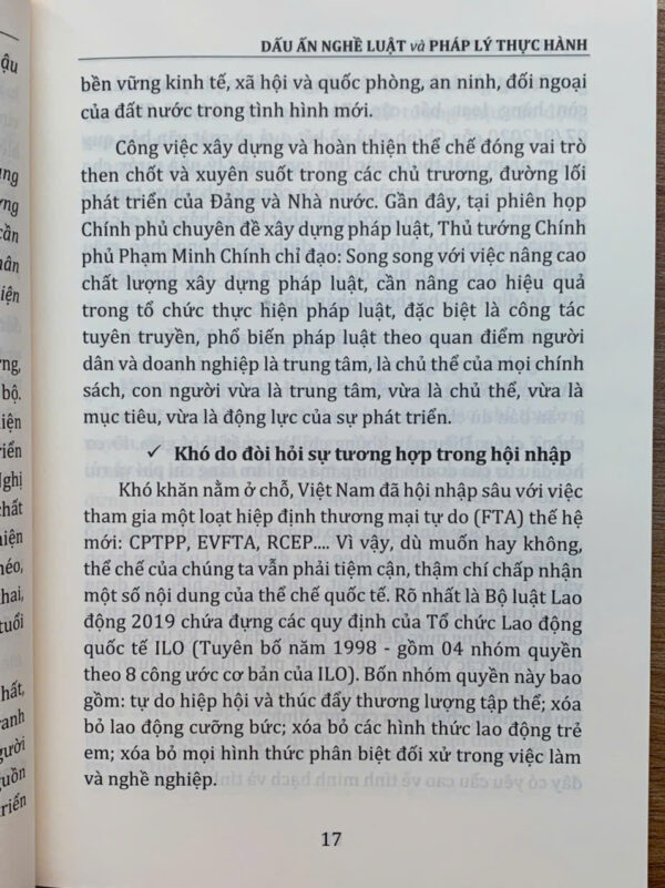Dấu ấn Nghề luật và Pháp lý thực hành - Ảnh 20