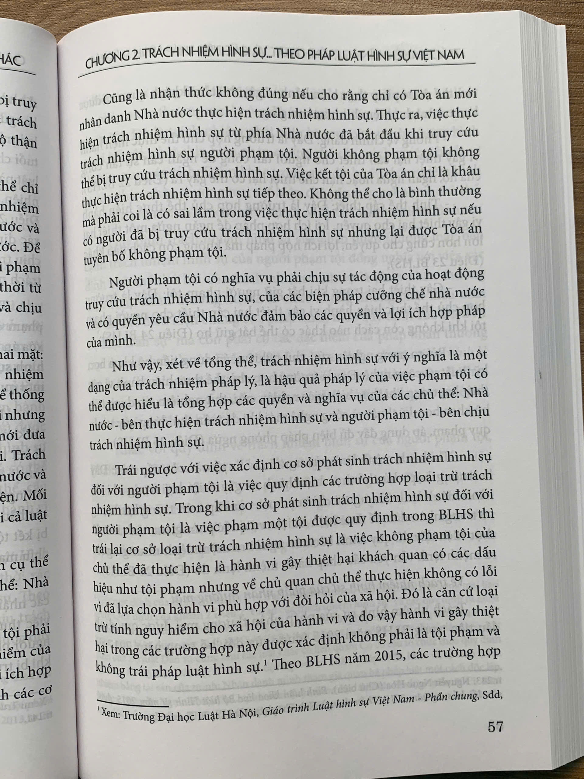 Trách nhiệm hình sự, hình phạt và các biện pháp hình sự khác - Ảnh 18