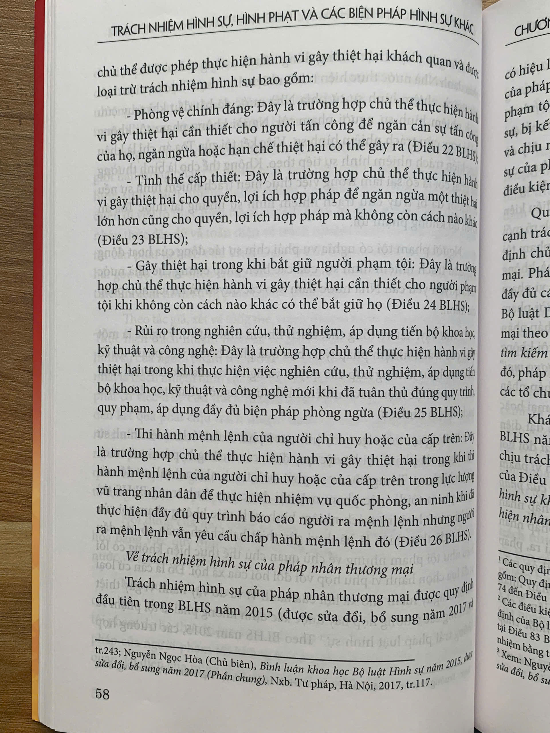 Trách nhiệm hình sự, hình phạt và các biện pháp hình sự khác - Ảnh 19