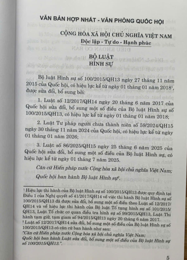 Bộ luật Hình sự (Hiện hành) - Ảnh 4