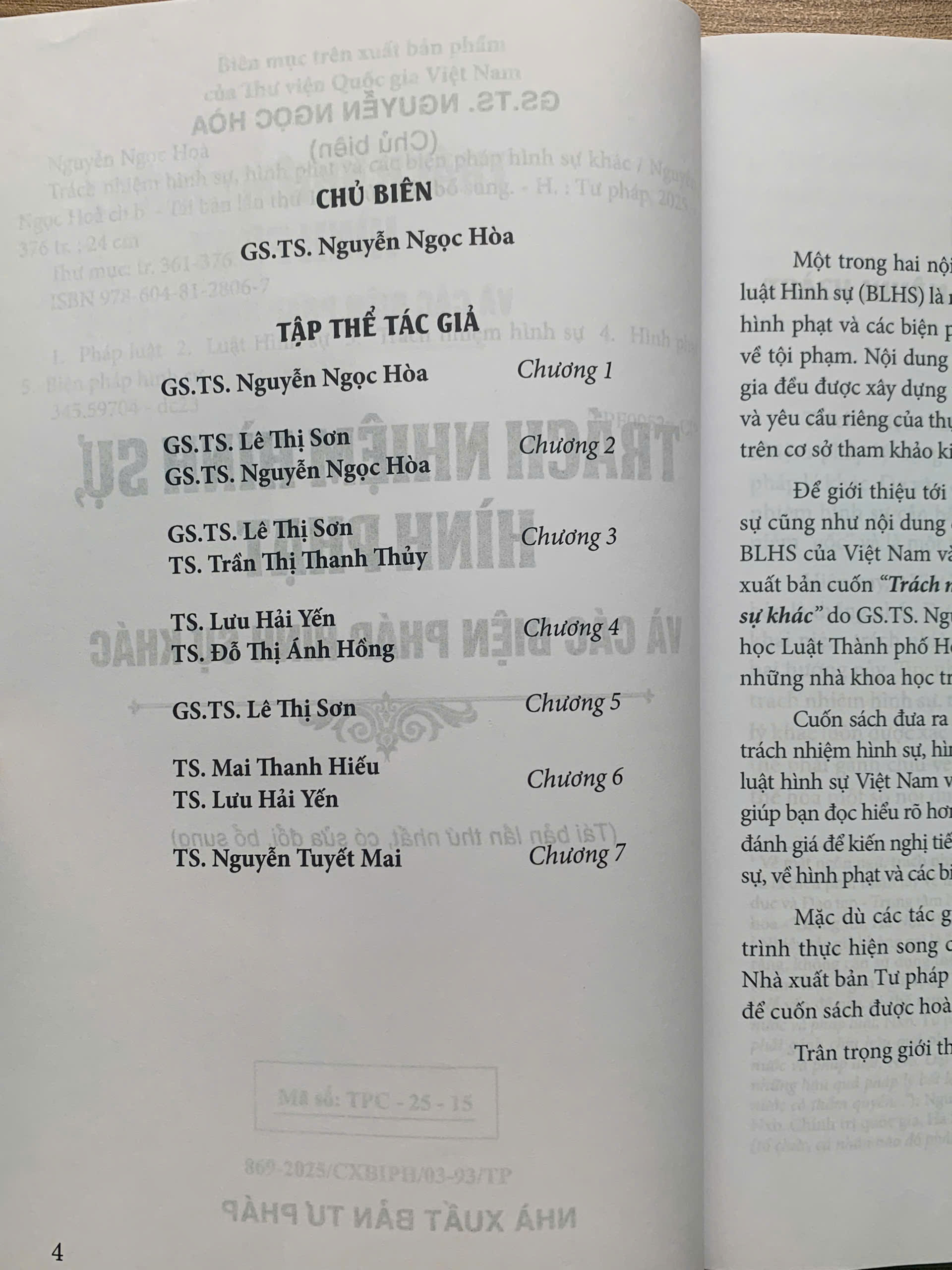 Trách nhiệm hình sự, hình phạt và các biện pháp hình sự khác - Ảnh 3