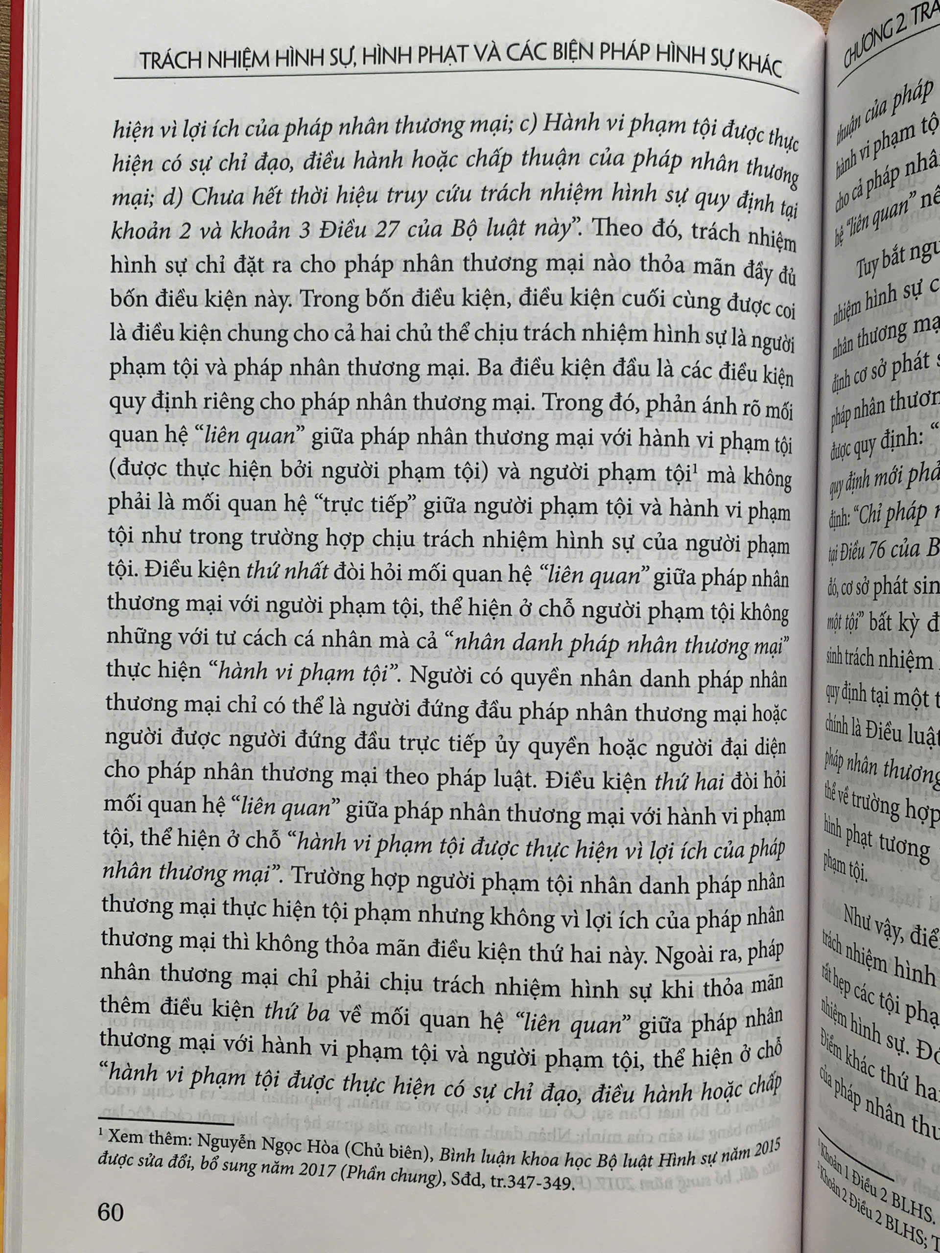 Trách nhiệm hình sự, hình phạt và các biện pháp hình sự khác - Ảnh 21