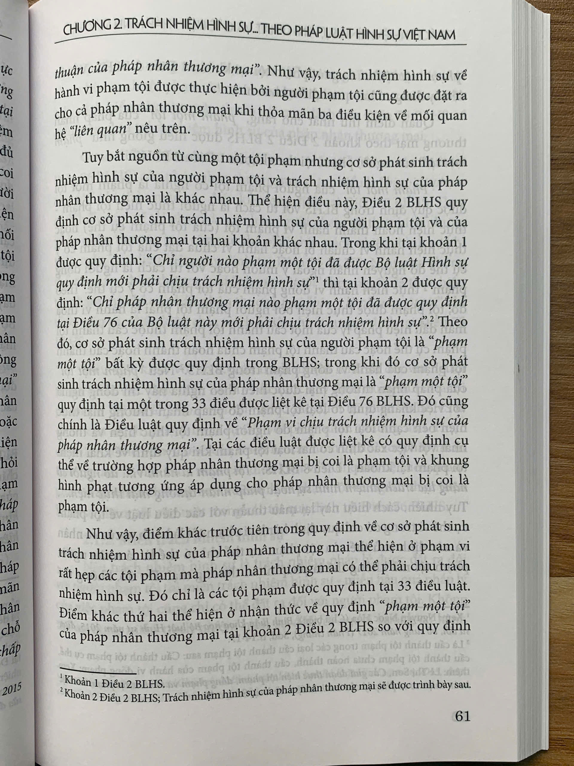 Trách nhiệm hình sự, hình phạt và các biện pháp hình sự khác - Ảnh 22