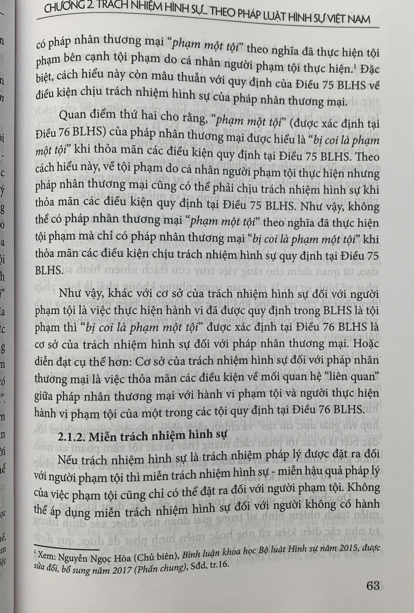 Trách nhiệm hình sự, hình phạt và các biện pháp hình sự khác - Ảnh 24