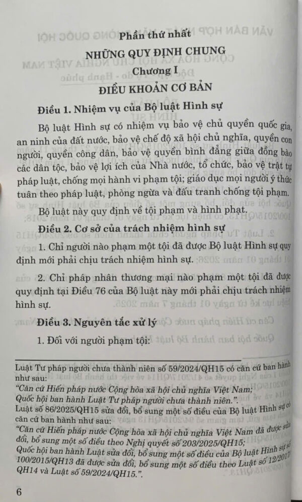 Bộ luật Hình sự (Hiện hành) - Ảnh 5