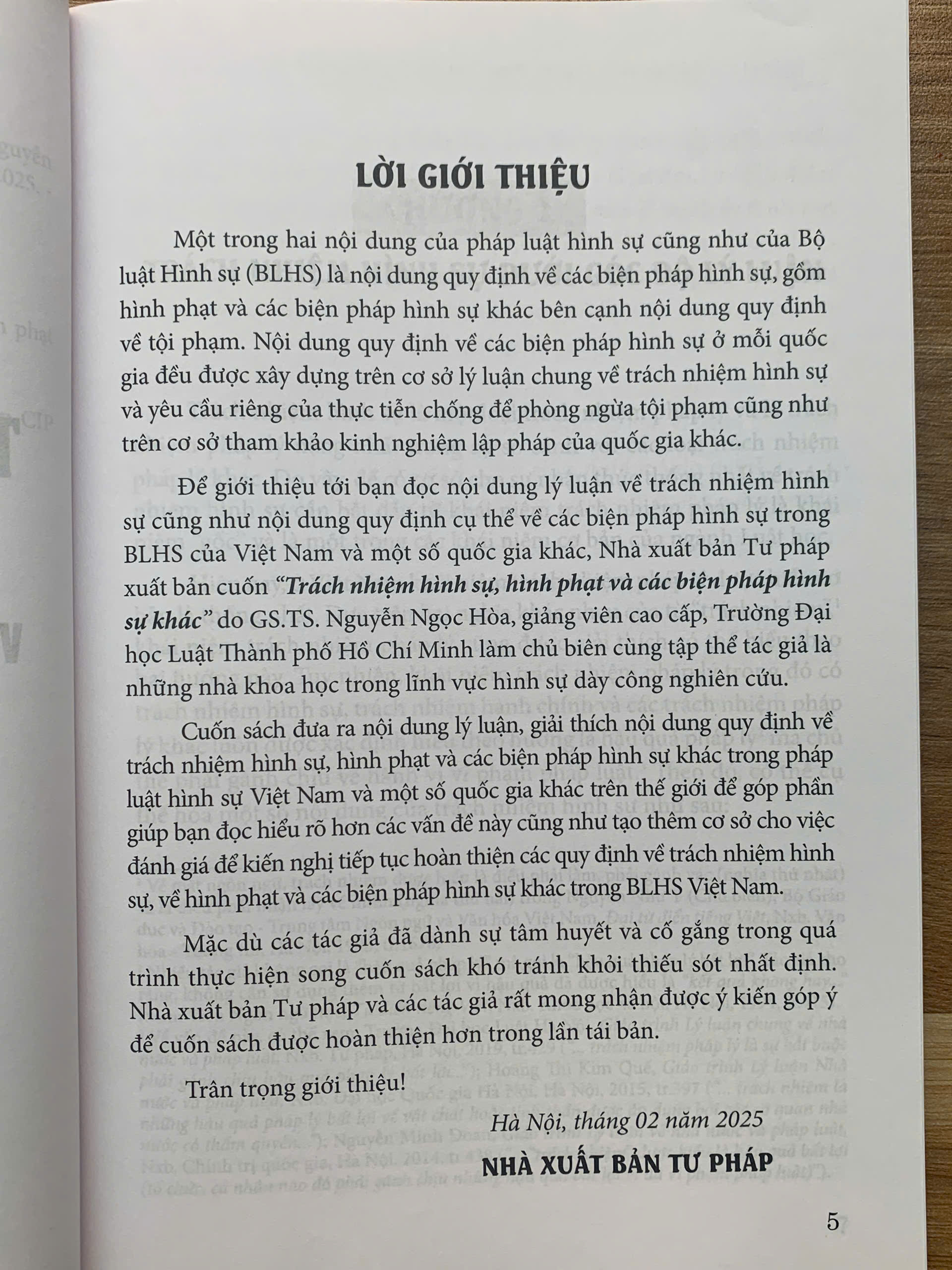 Trách nhiệm hình sự, hình phạt và các biện pháp hình sự khác - Ảnh 4