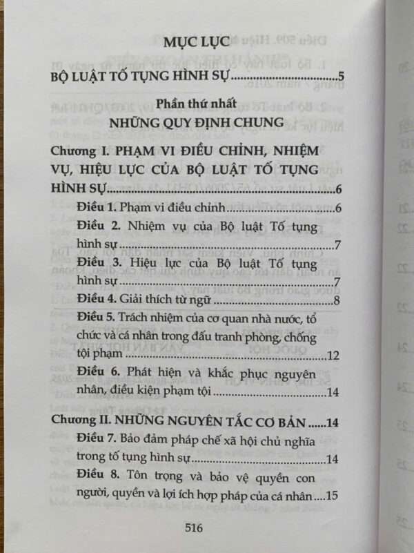 Bộ luật tố tụng hình sự năm 2015 (sửa đổi, bổ sung năm 2021, 2024, 2025) - Ảnh 7