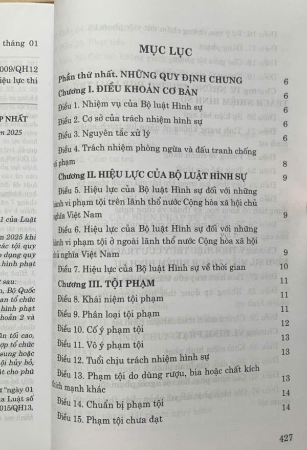 Bộ luật Hình sự (Hiện hành) - Ảnh 7