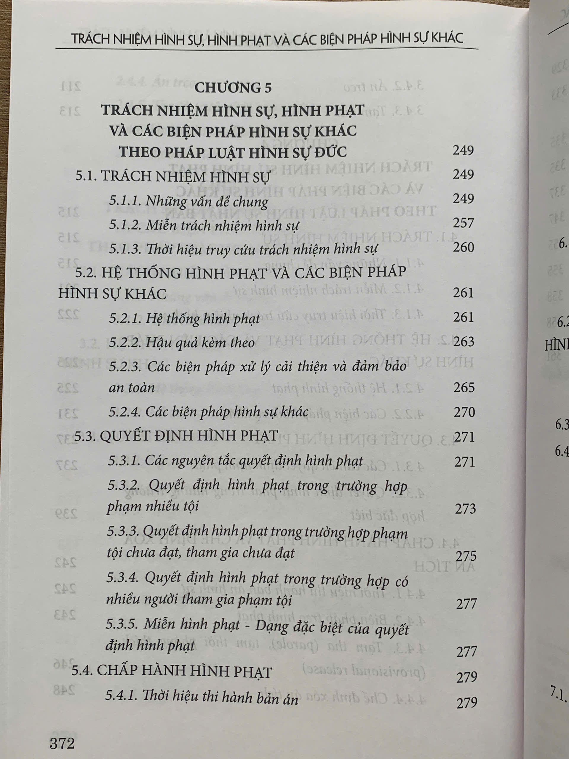Trách nhiệm hình sự, hình phạt và các biện pháp hình sự khác - Ảnh 9