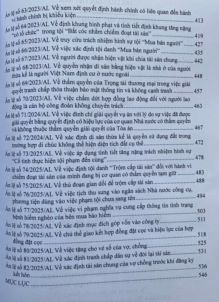 Hệ thống 82 án lệ Việt Nam hiện hành - Ảnh 5