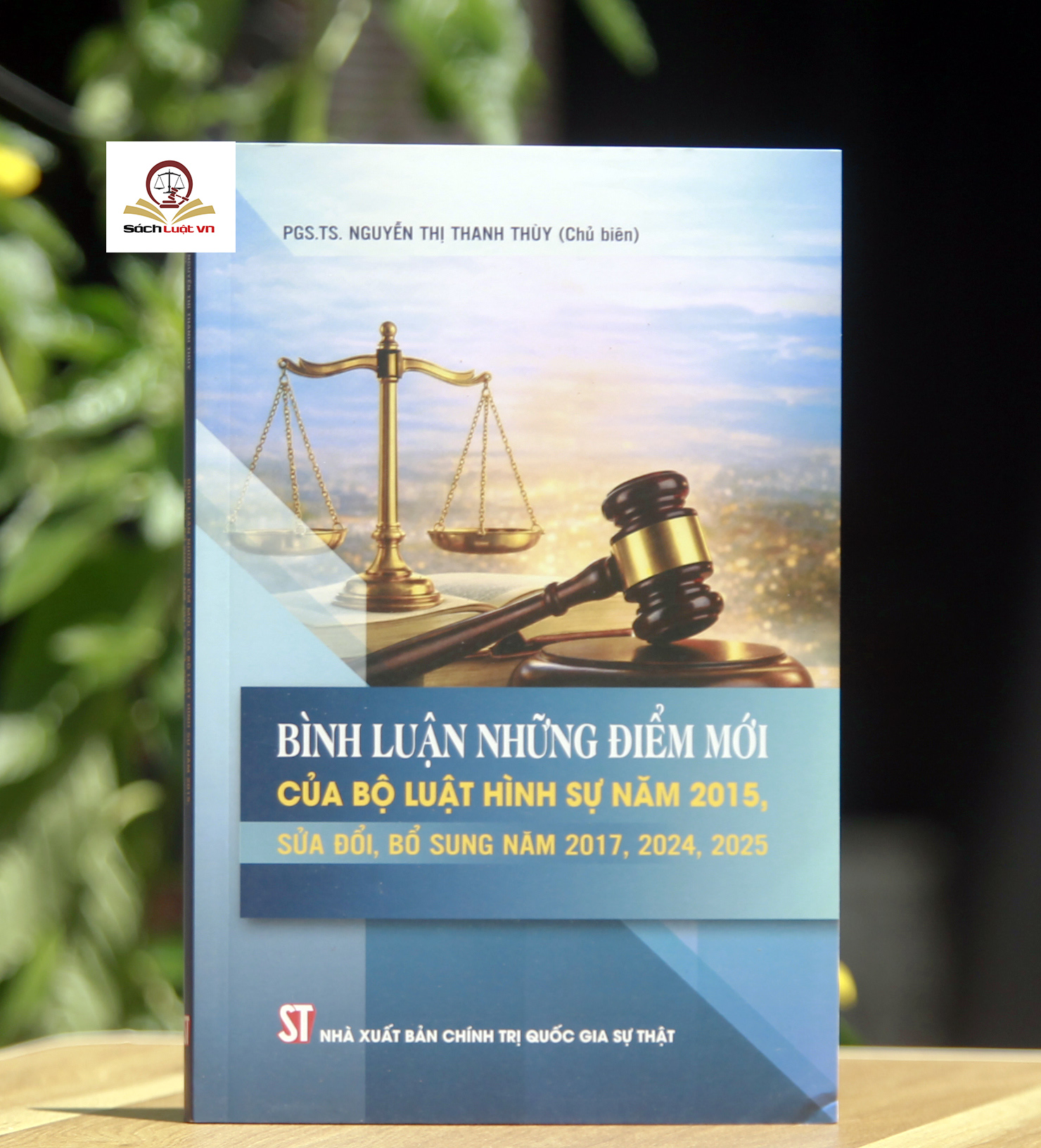 Bình luận những điểm mới của Bộ luật Hình sự năm 2015, sửa đổi, bổ sung năm 2017, 2024, 2025