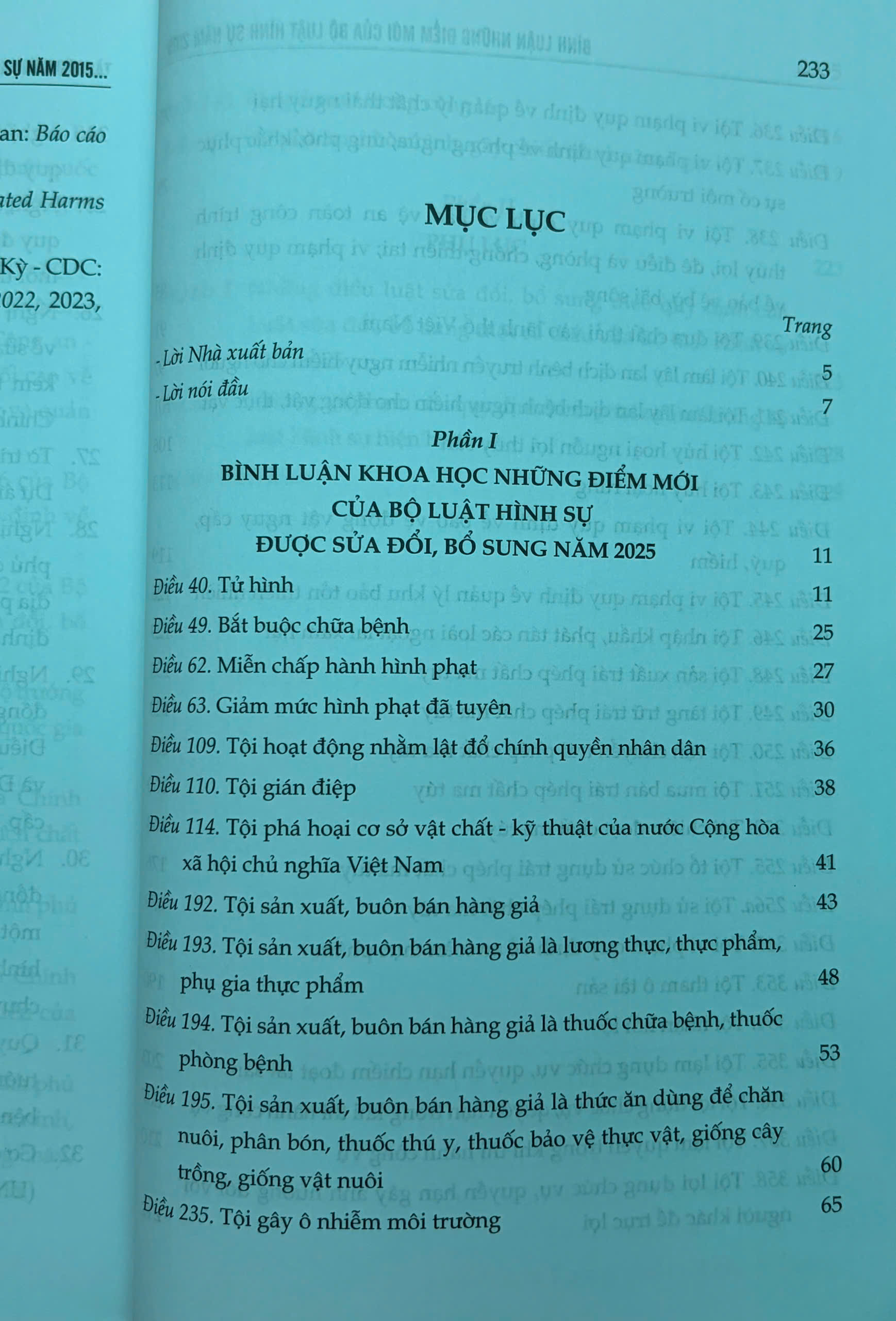 Bình luận những điểm mới của Bộ luật Hình sự năm 2015, sửa đổi, bổ sung năm 2017, 2024, 2025 - Ảnh 14