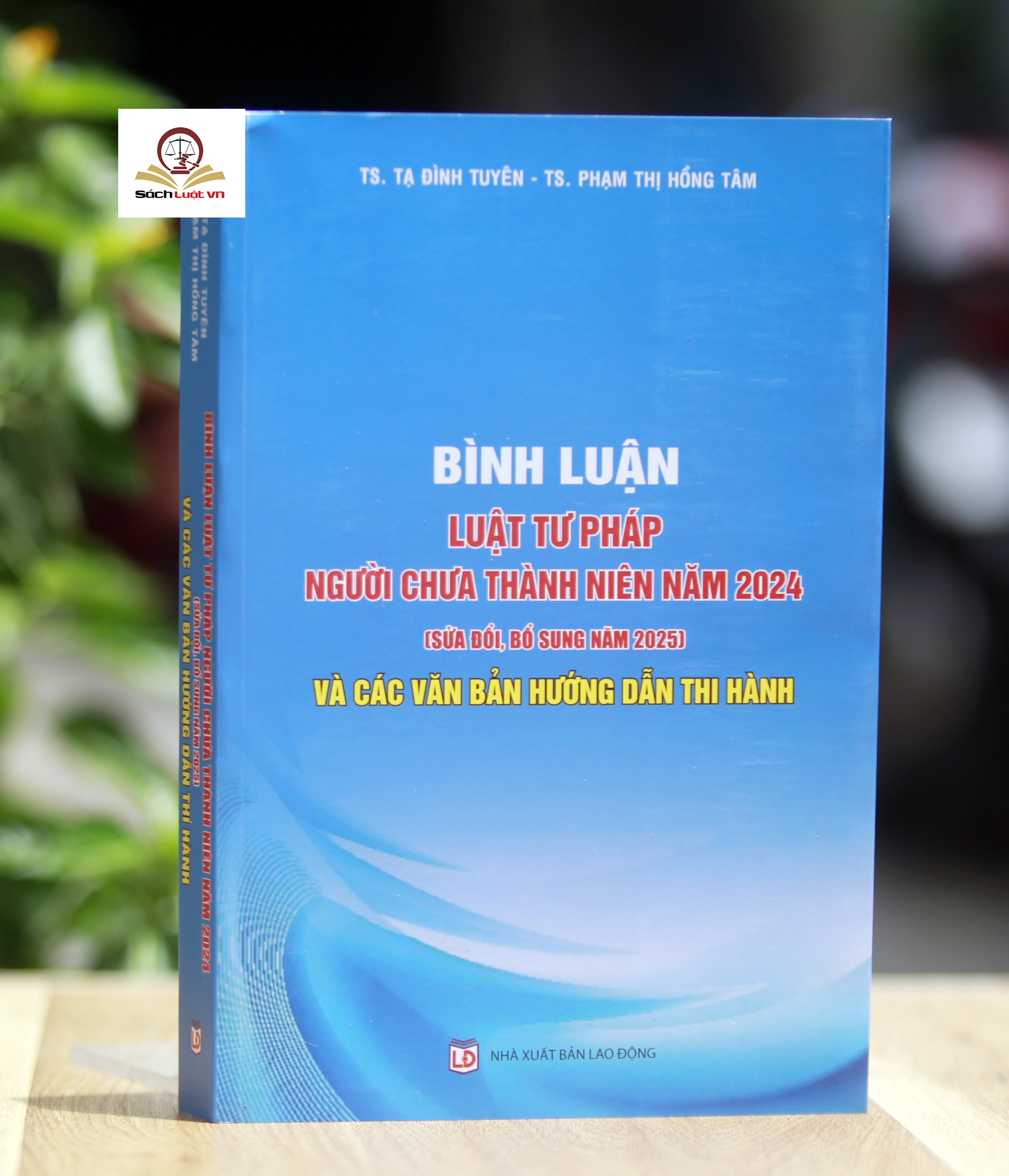 Bình luận Luật Tư pháp người chưa thành niên năm 2024 (sửa đổi, bổ sung năm 2025) và các văn bản hướng dẫn thi hành