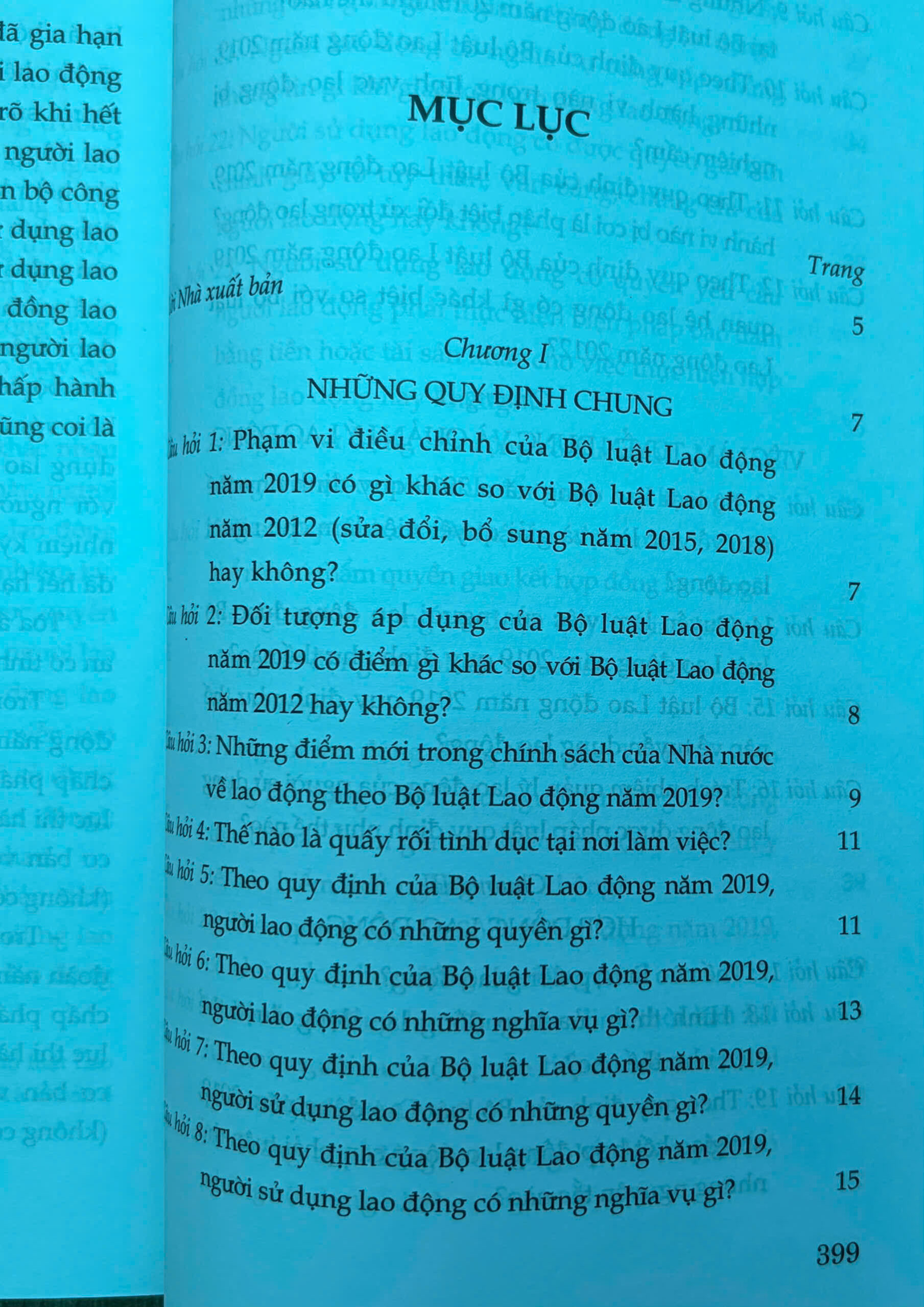 Sách- Hỏi - đáp Bộ luật Lao động (hiện hành- xuất bản lần thứ hai, có sửa chữa, bổ sung) - Ảnh 10