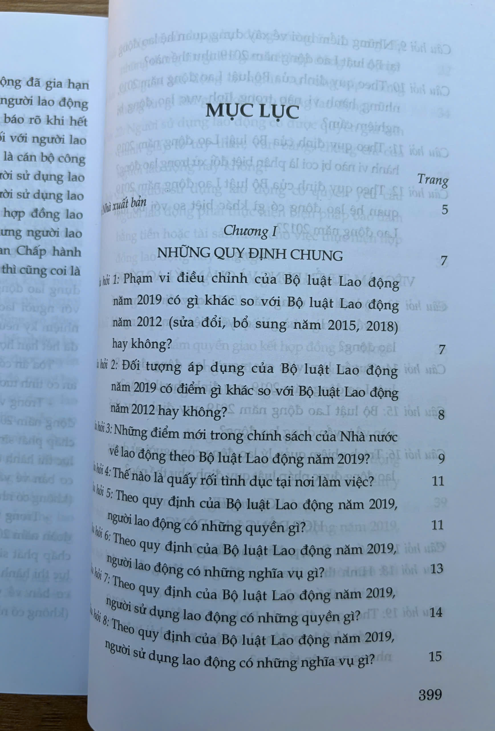 Sách- Hỏi - đáp Bộ luật Lao động (hiện hành- xuất bản lần thứ hai, có sửa chữa, bổ sung) - Ảnh 11