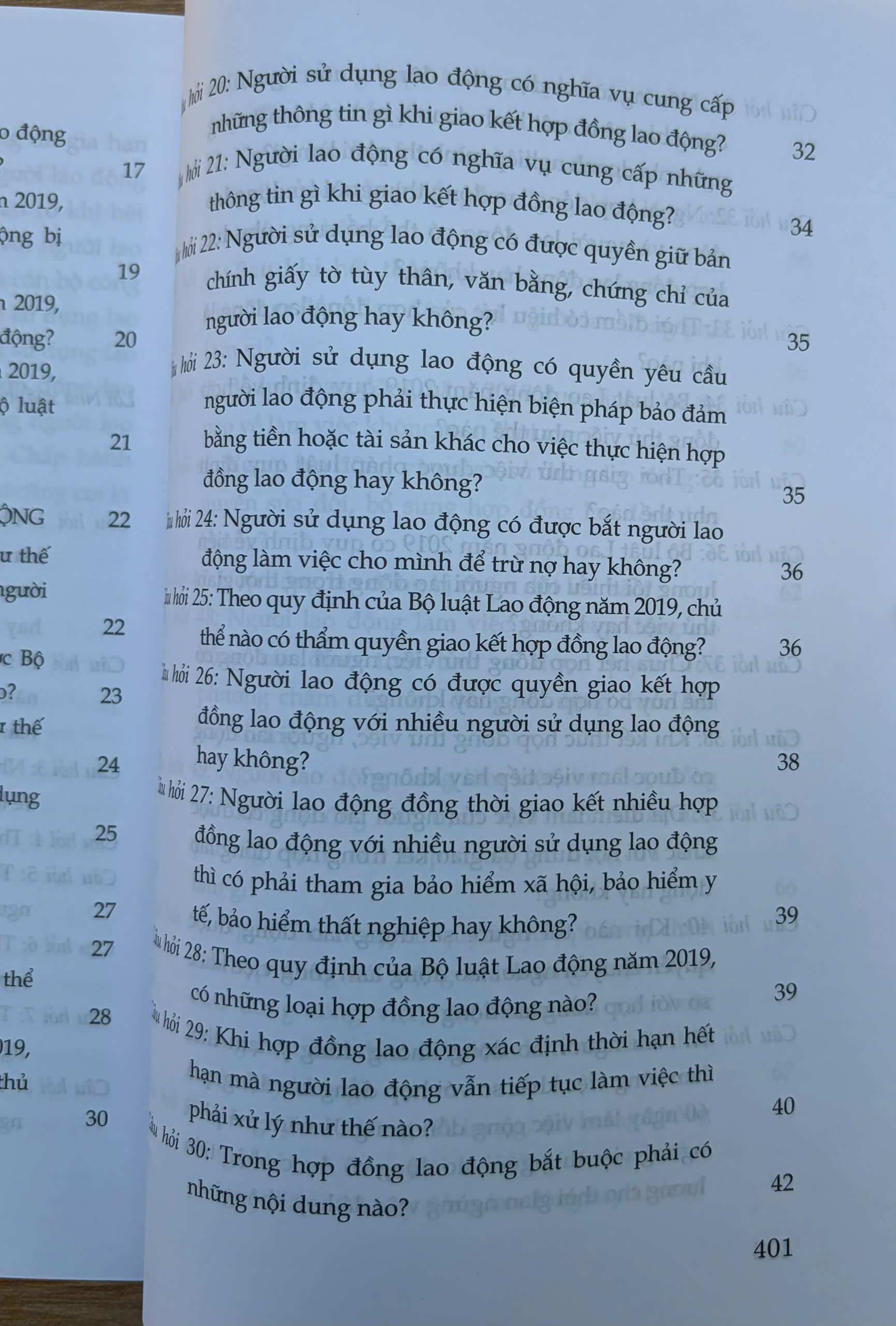 Sách- Hỏi - đáp Bộ luật Lao động (hiện hành- xuất bản lần thứ hai, có sửa chữa, bổ sung) - Ảnh 13