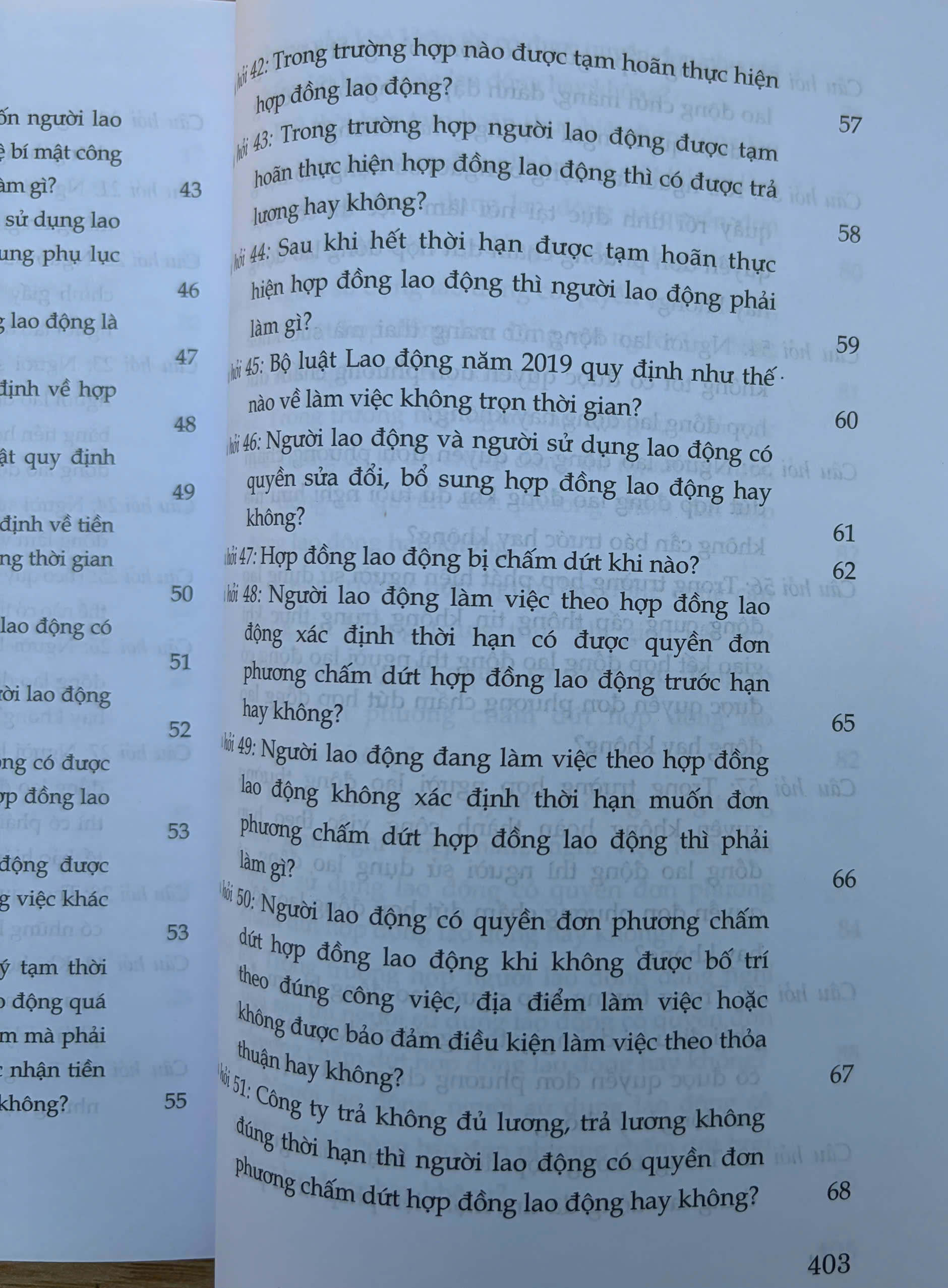 Sách- Hỏi - đáp Bộ luật Lao động (hiện hành- xuất bản lần thứ hai, có sửa chữa, bổ sung) - Ảnh 15