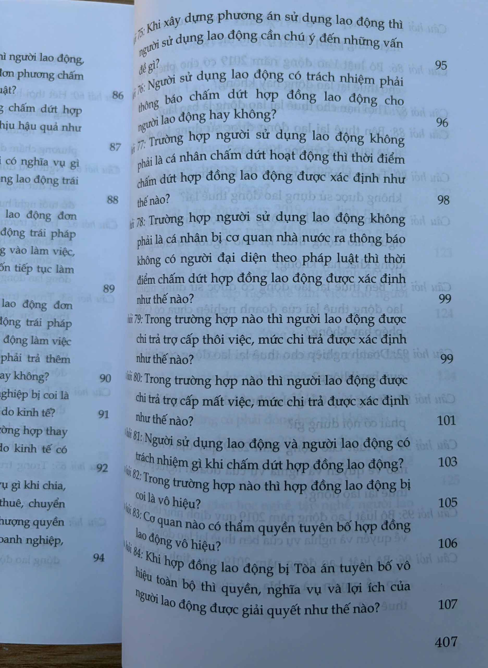Sách- Hỏi - đáp Bộ luật Lao động (hiện hành- xuất bản lần thứ hai, có sửa chữa, bổ sung) - Ảnh 18