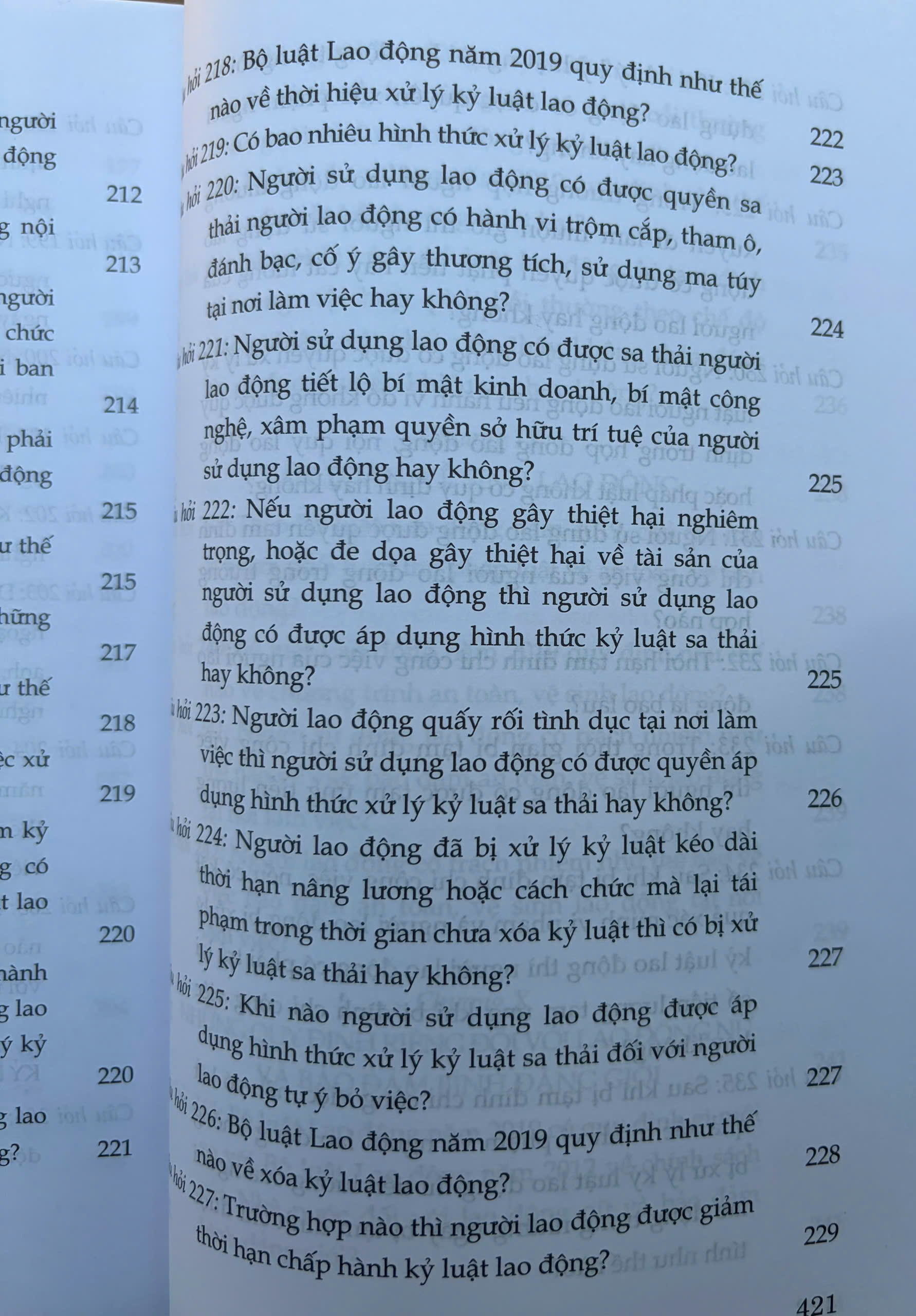 Sách- Hỏi - đáp Bộ luật Lao động (hiện hành- xuất bản lần thứ hai, có sửa chữa, bổ sung) - Ảnh 32