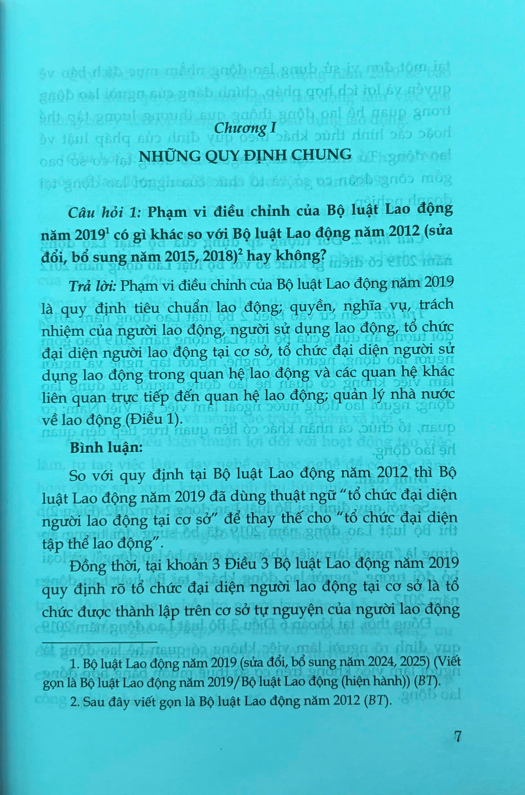 Sách- Hỏi - đáp Bộ luật Lao động (hiện hành- xuất bản lần thứ hai, có sửa chữa, bổ sung) - Ảnh 4