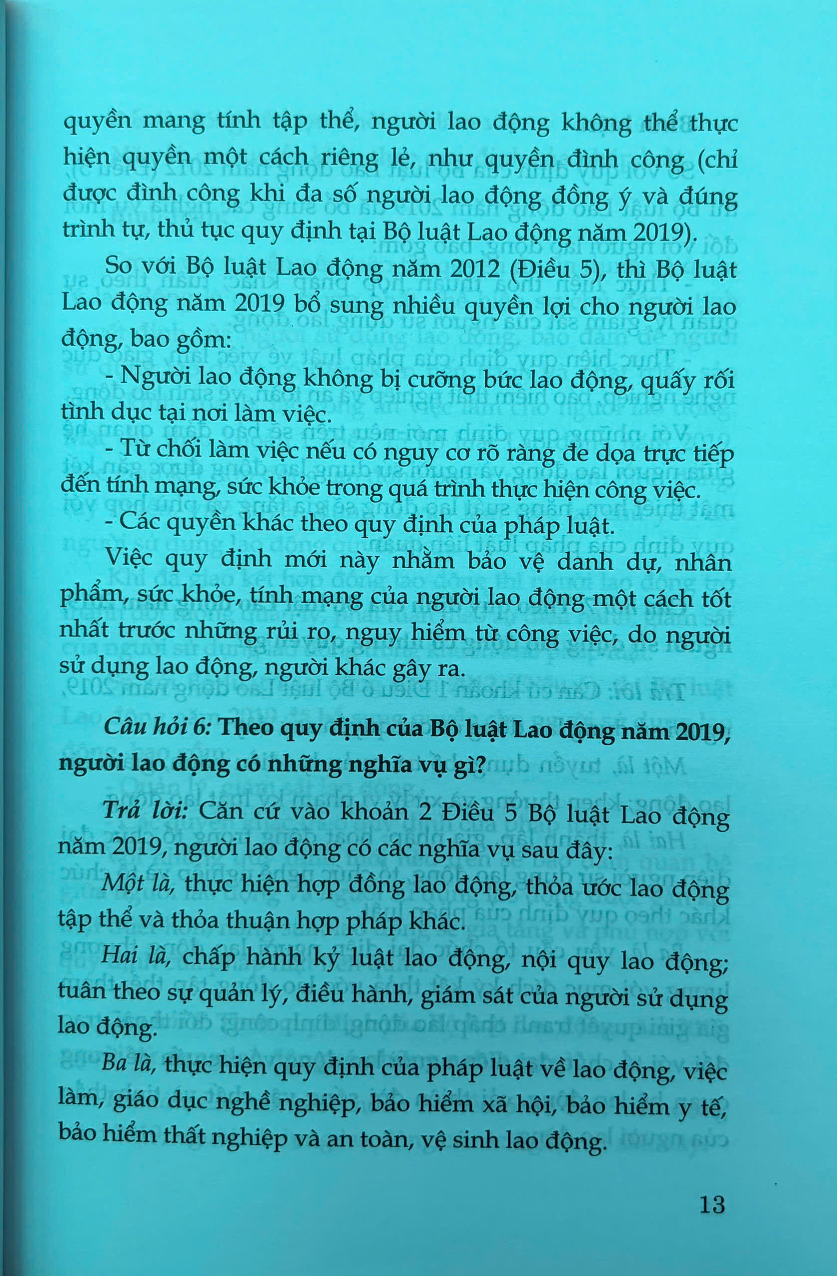 Sách- Hỏi - đáp Bộ luật Lao động (hiện hành- xuất bản lần thứ hai, có sửa chữa, bổ sung) - Ảnh 7